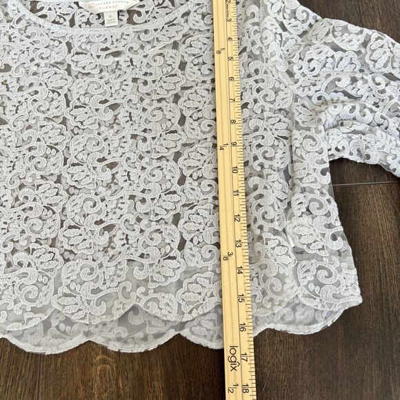 Lauren Conrad Runway Cropped Light Grey Lace Blouse Size XL Bell Sleeve Boho - Picture 8 of 11
